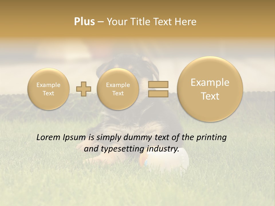 Alsatian Cross-Breed Puppy PowerPoint Template