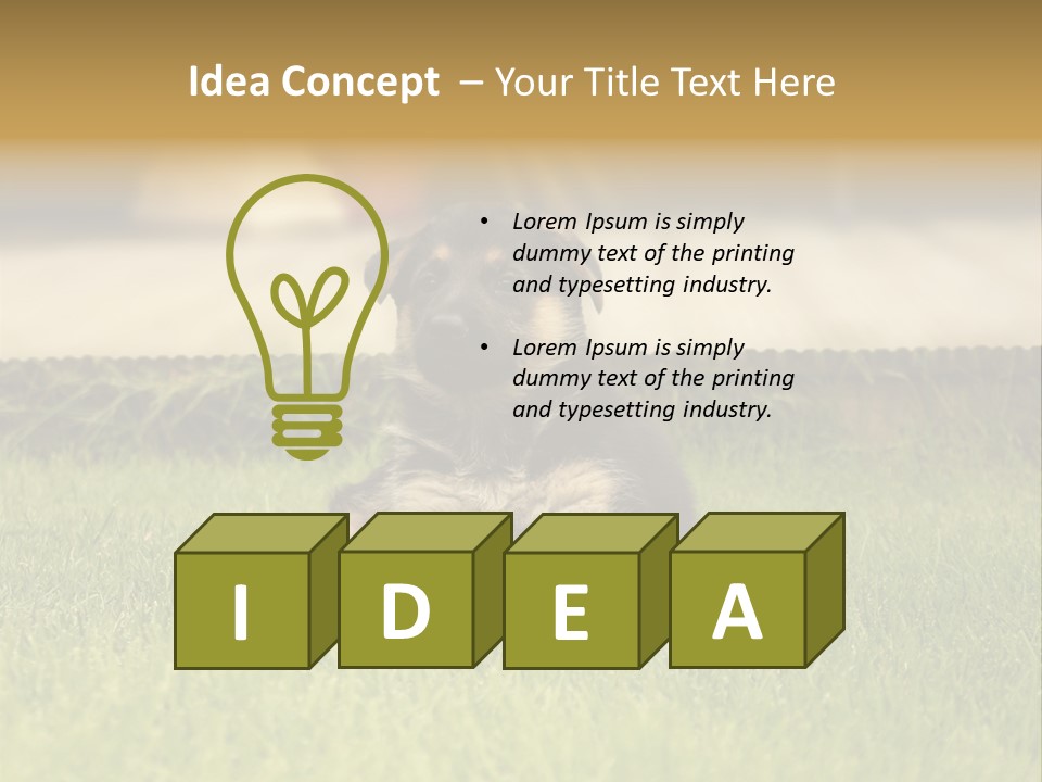 Alsatian Cross-Breed Puppy PowerPoint Template