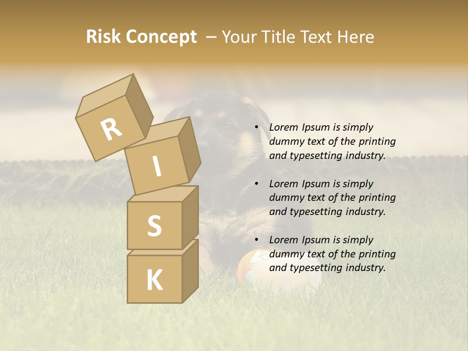 Alsatian Cross-Breed Puppy PowerPoint Template