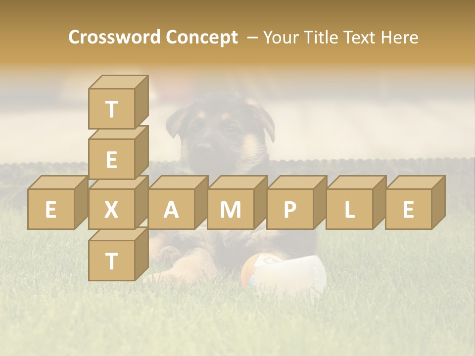 Alsatian Cross-Breed Puppy PowerPoint Template