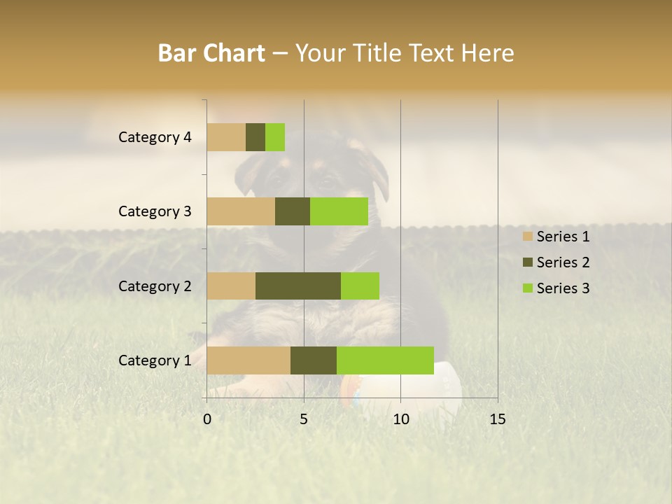 Alsatian Cross-Breed Puppy PowerPoint Template