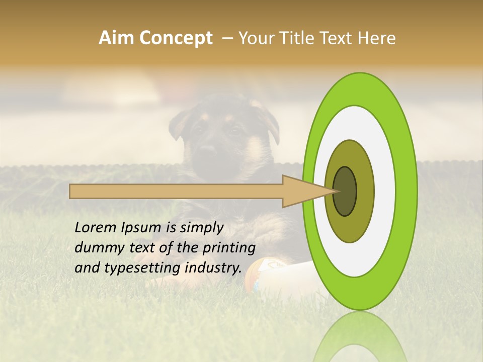 Alsatian Cross-Breed Puppy PowerPoint Template