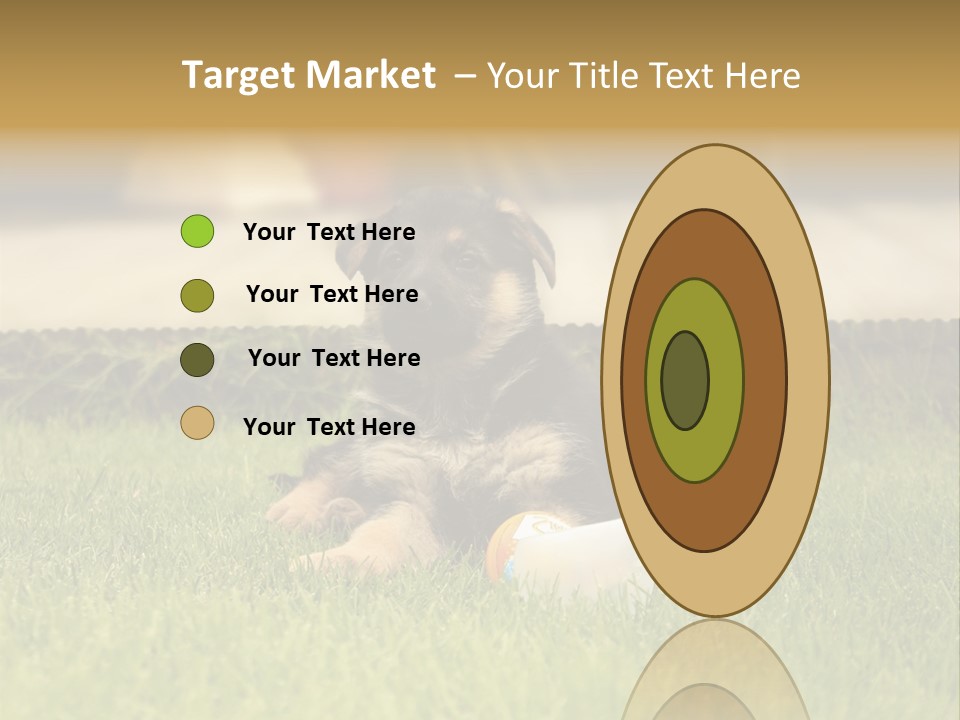 Alsatian Cross-Breed Puppy PowerPoint Template