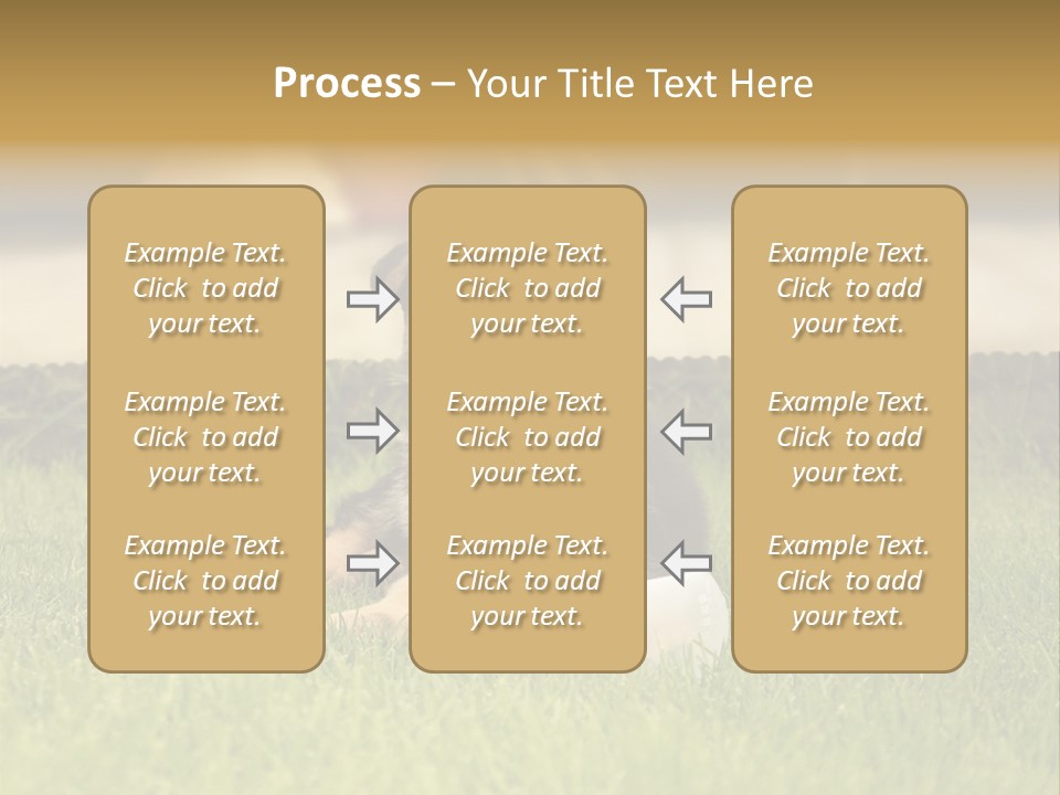 Alsatian Cross-Breed Puppy PowerPoint Template