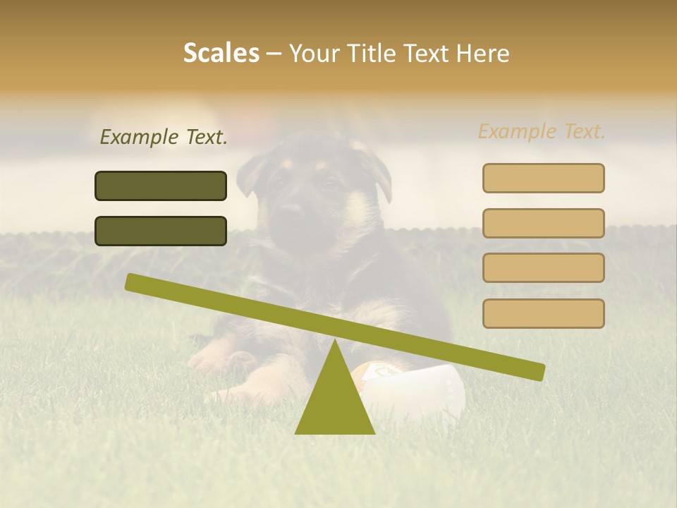 Alsatian Cross-Breed Puppy PowerPoint Template