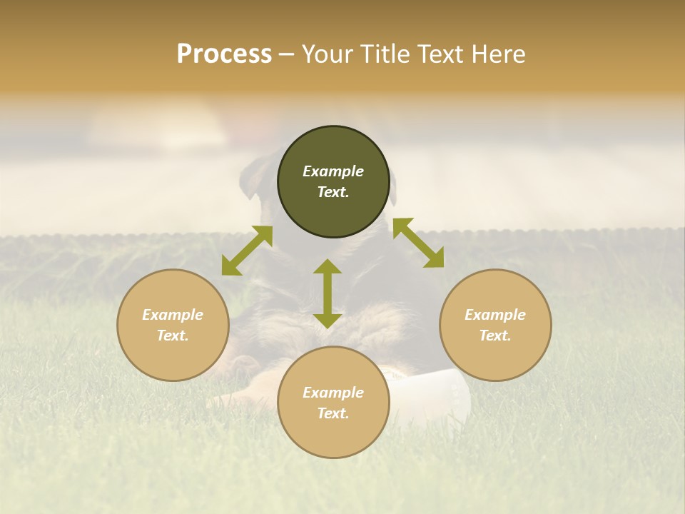 Alsatian Cross-Breed Puppy PowerPoint Template