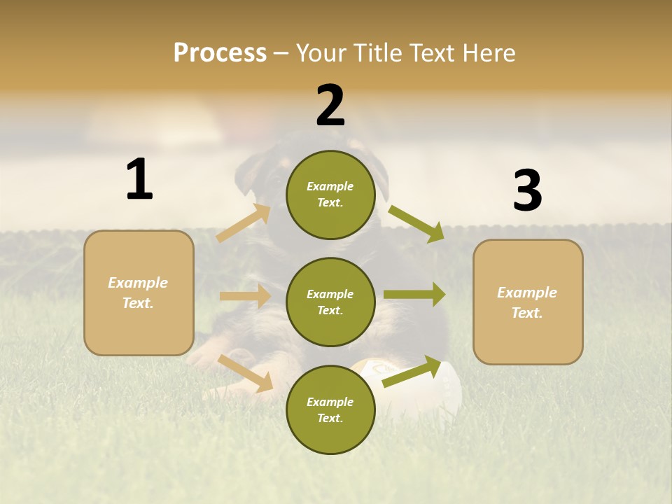 Alsatian Cross-Breed Puppy PowerPoint Template