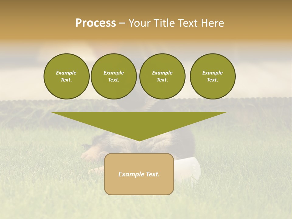 Alsatian Cross-Breed Puppy PowerPoint Template