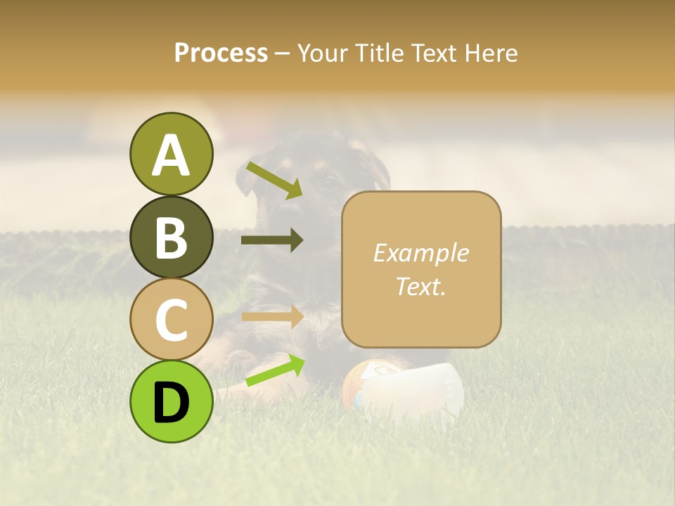 Alsatian Cross-Breed Puppy PowerPoint Template