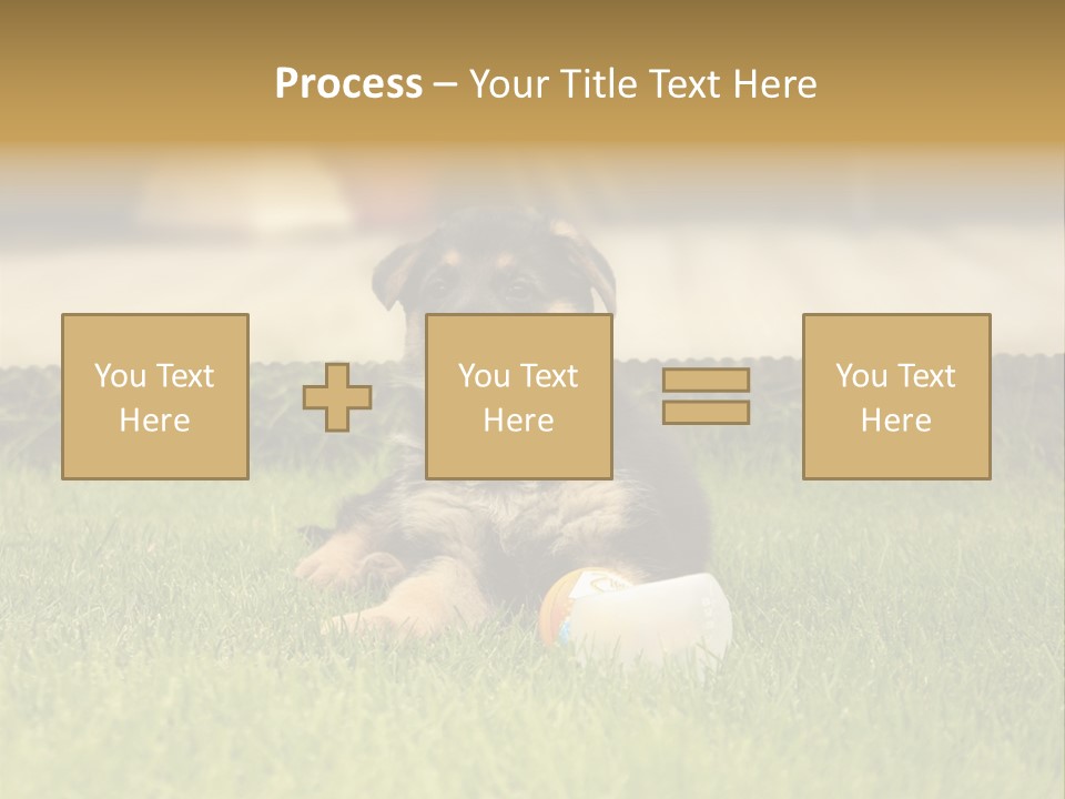 Alsatian Cross-Breed Puppy PowerPoint Template