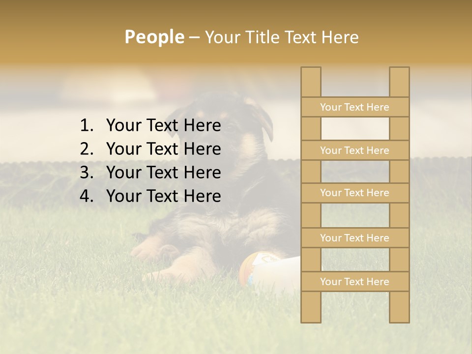 Alsatian Cross-Breed Puppy PowerPoint Template