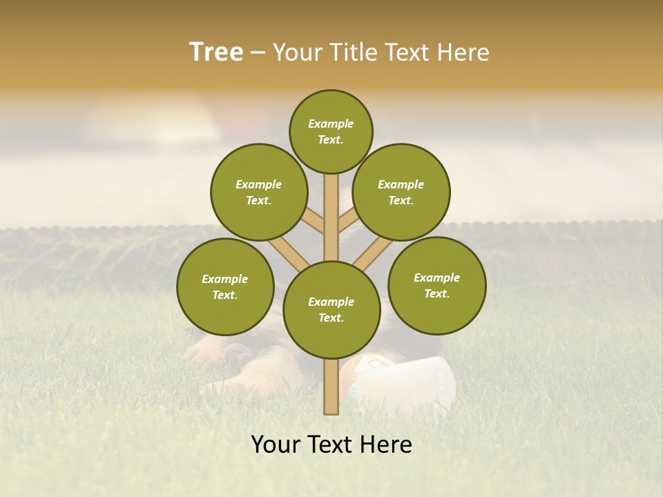 Alsatian Cross-Breed Puppy PowerPoint Template