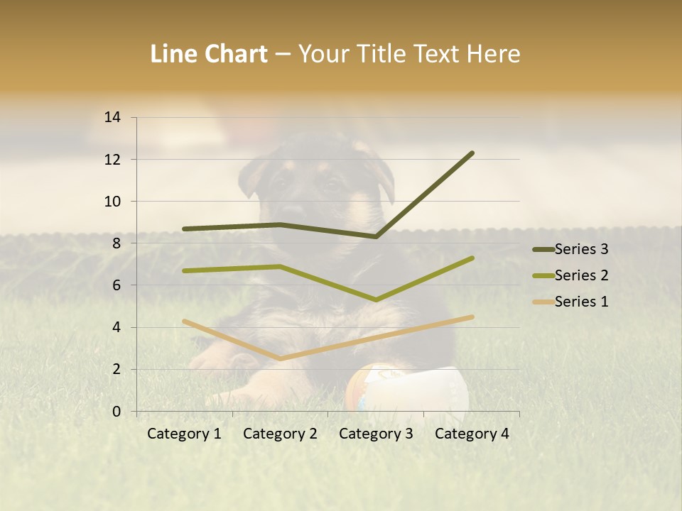 Alsatian Cross-Breed Puppy PowerPoint Template