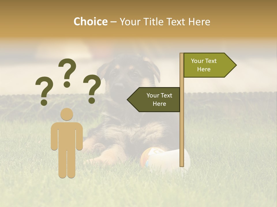 Alsatian Cross-Breed Puppy PowerPoint Template