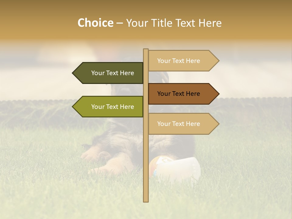 Alsatian Cross-Breed Puppy PowerPoint Template