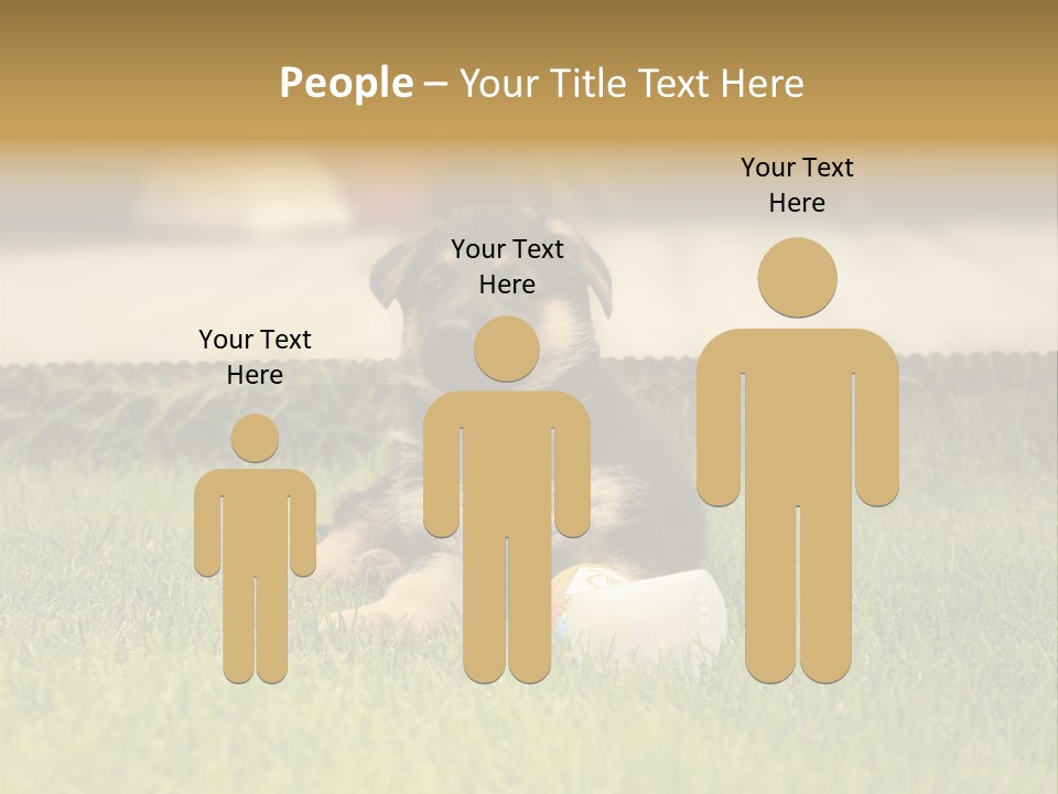 Alsatian Cross-Breed Puppy PowerPoint Template