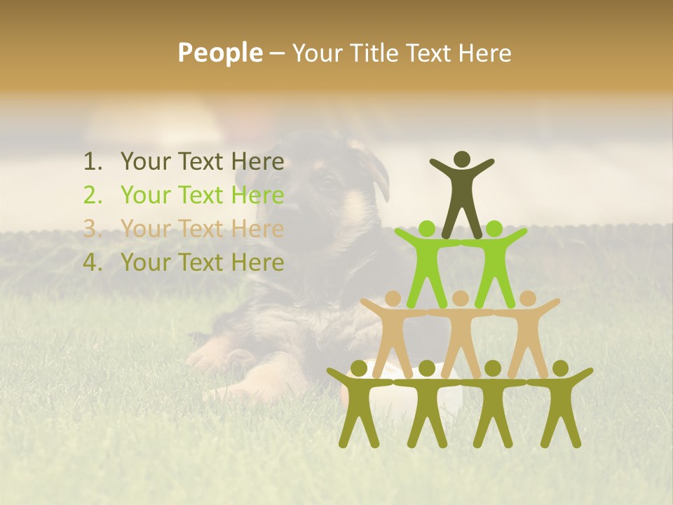 Alsatian Cross-Breed Puppy PowerPoint Template