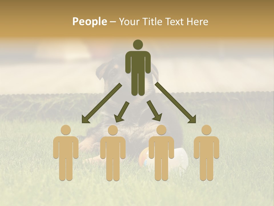 Alsatian Cross-Breed Puppy PowerPoint Template