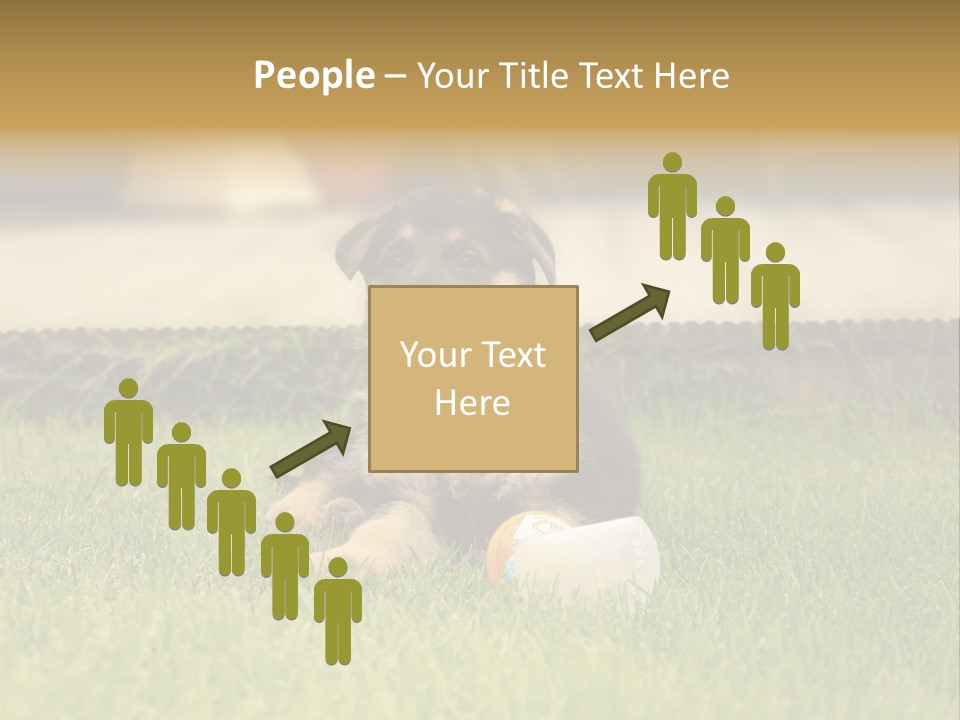 Alsatian Cross-Breed Puppy PowerPoint Template