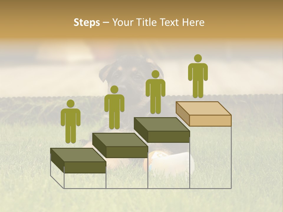 Alsatian Cross-Breed Puppy PowerPoint Template