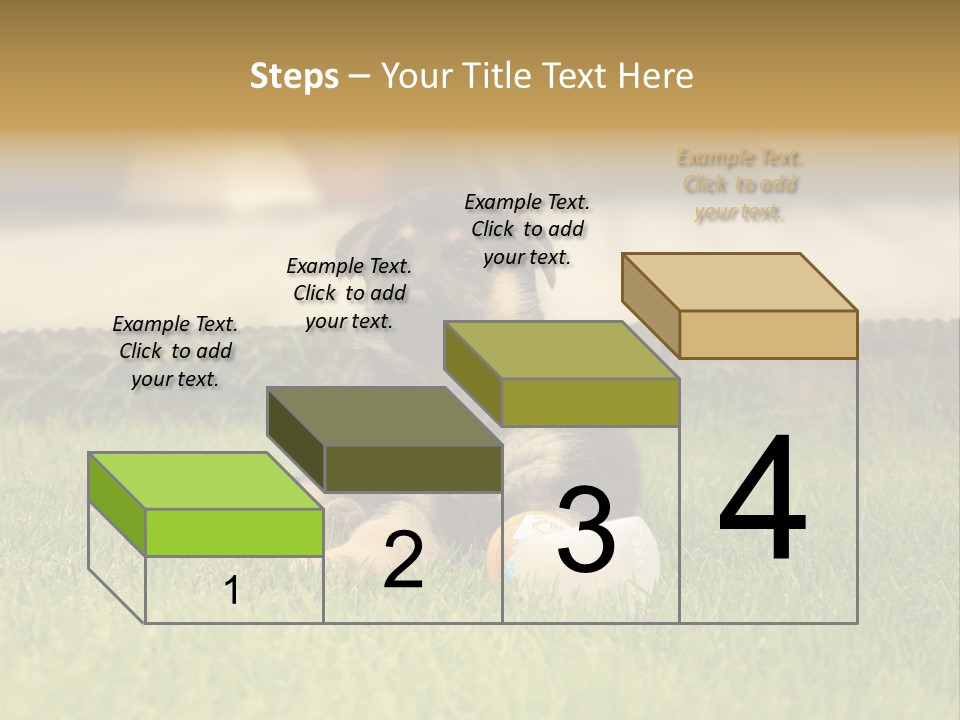 Alsatian Cross-Breed Puppy PowerPoint Template