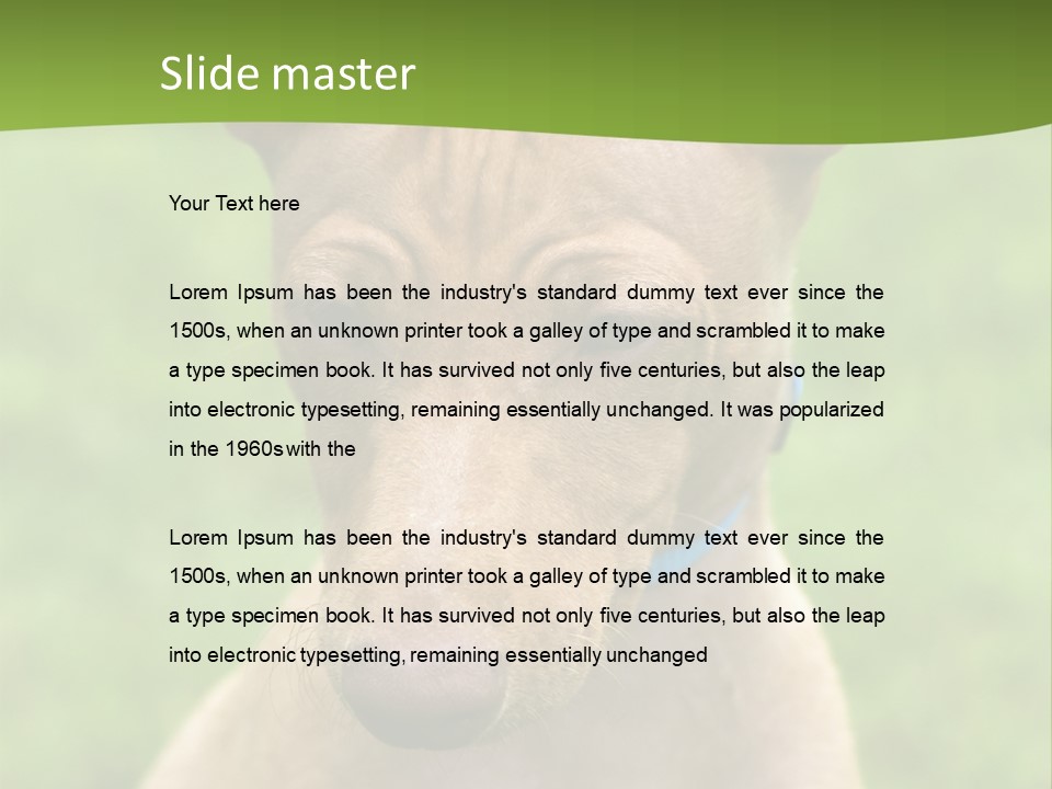 Cirneco Dell'etna, Sicilian Hound Puppy PowerPoint Template