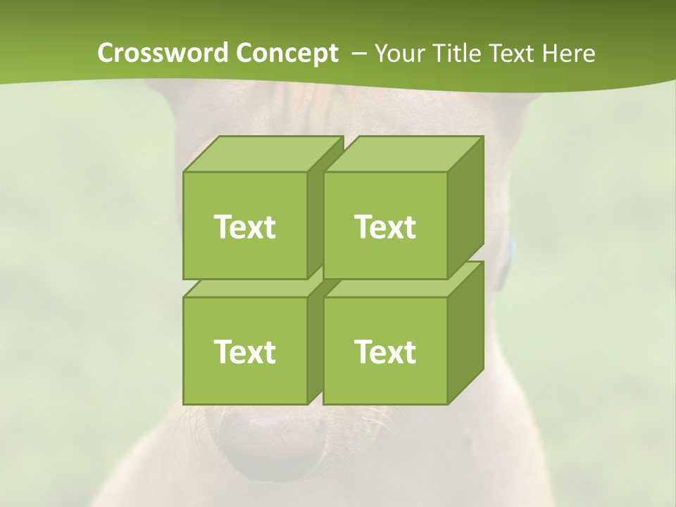 Cirneco Dell'etna, Sicilian Hound Puppy PowerPoint Template