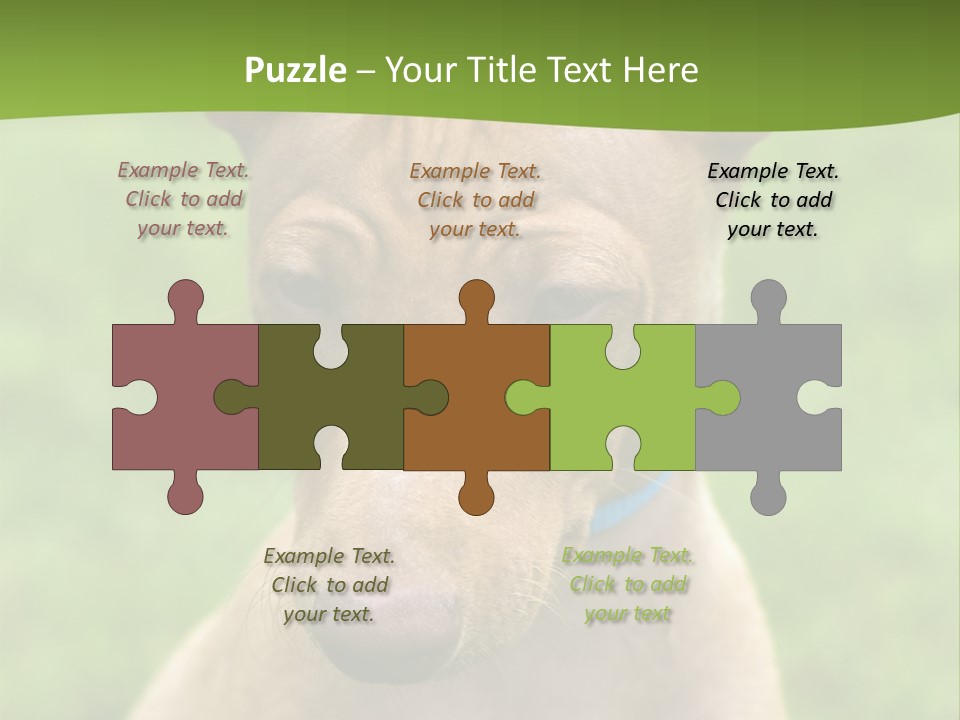 Cirneco Dell'etna, Sicilian Hound Puppy PowerPoint Template