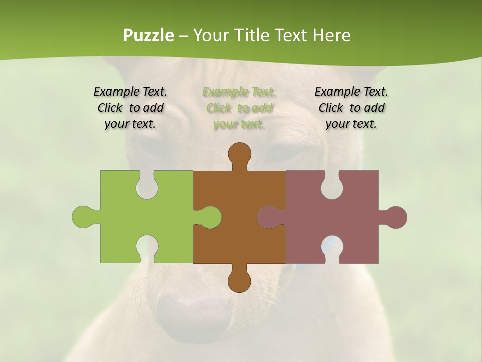 Cirneco Dell'etna, Sicilian Hound Puppy PowerPoint Template