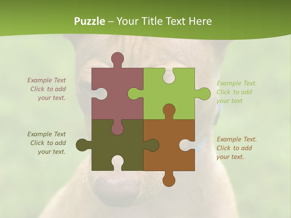 Cirneco Dell'etna, Sicilian Hound Puppy PowerPoint Template