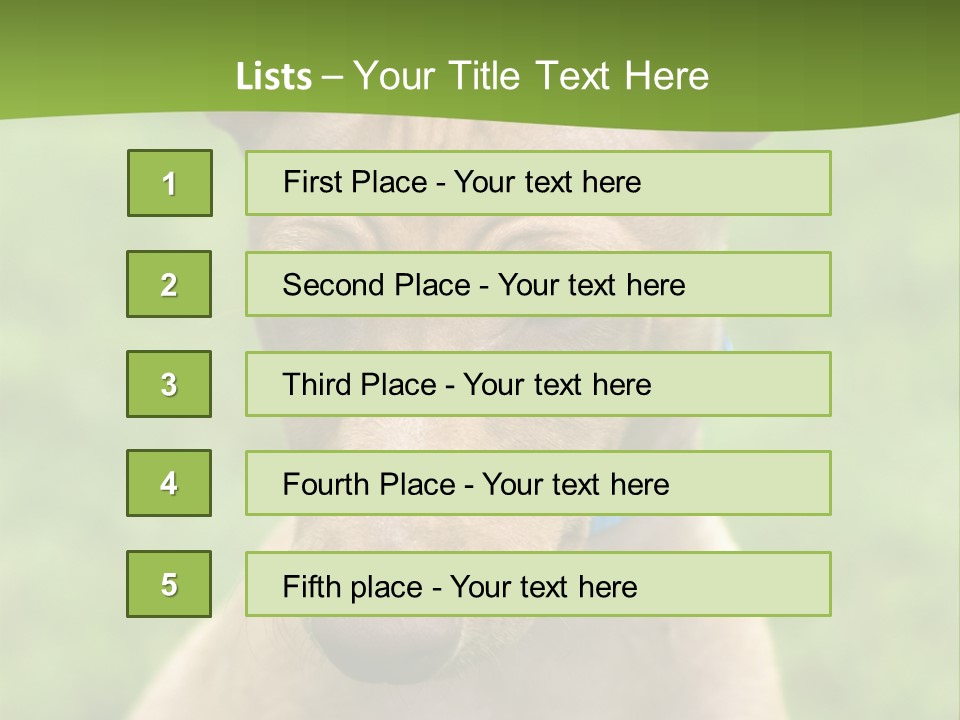 Cirneco Dell'etna, Sicilian Hound Puppy PowerPoint Template