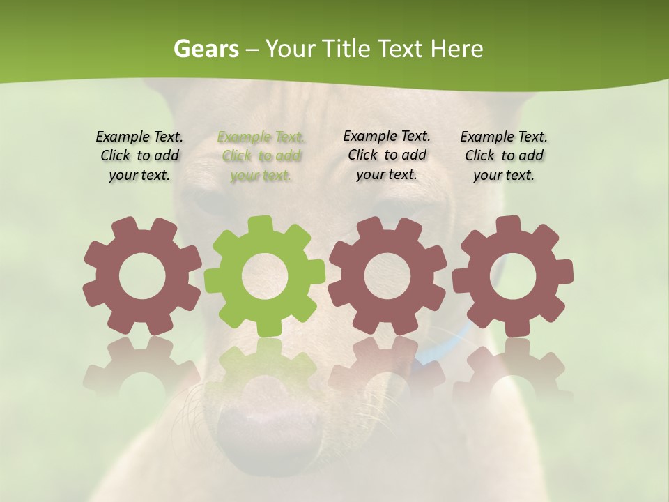 Cirneco Dell'etna, Sicilian Hound Puppy PowerPoint Template