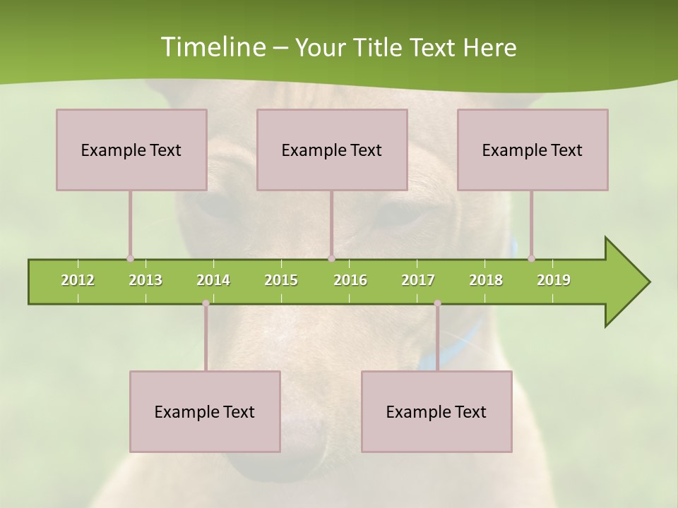 Cirneco Dell'etna, Sicilian Hound Puppy PowerPoint Template