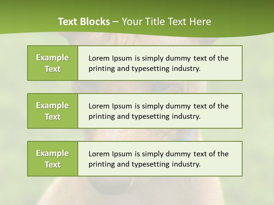 Cirneco Dell'etna, Sicilian Hound Puppy PowerPoint Template