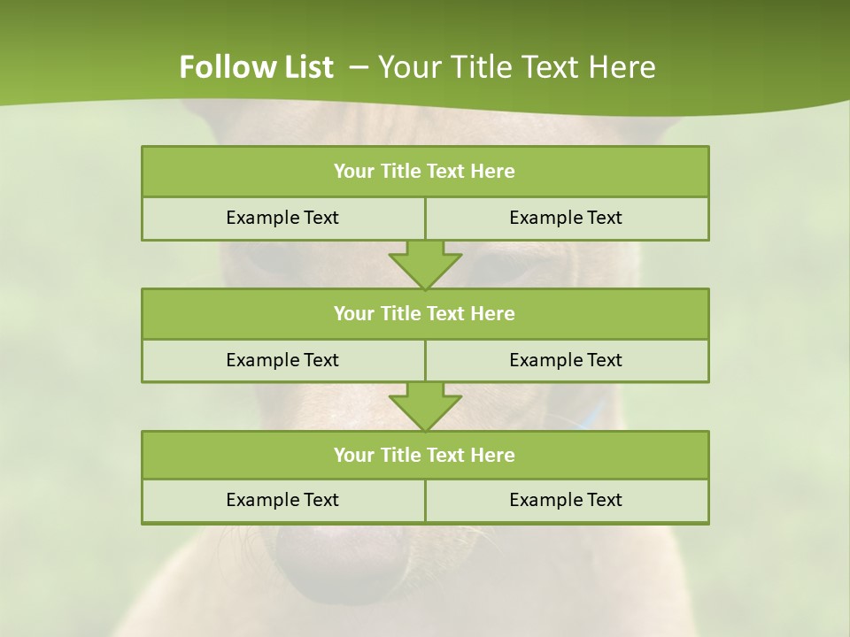 Cirneco Dell'etna, Sicilian Hound Puppy PowerPoint Template