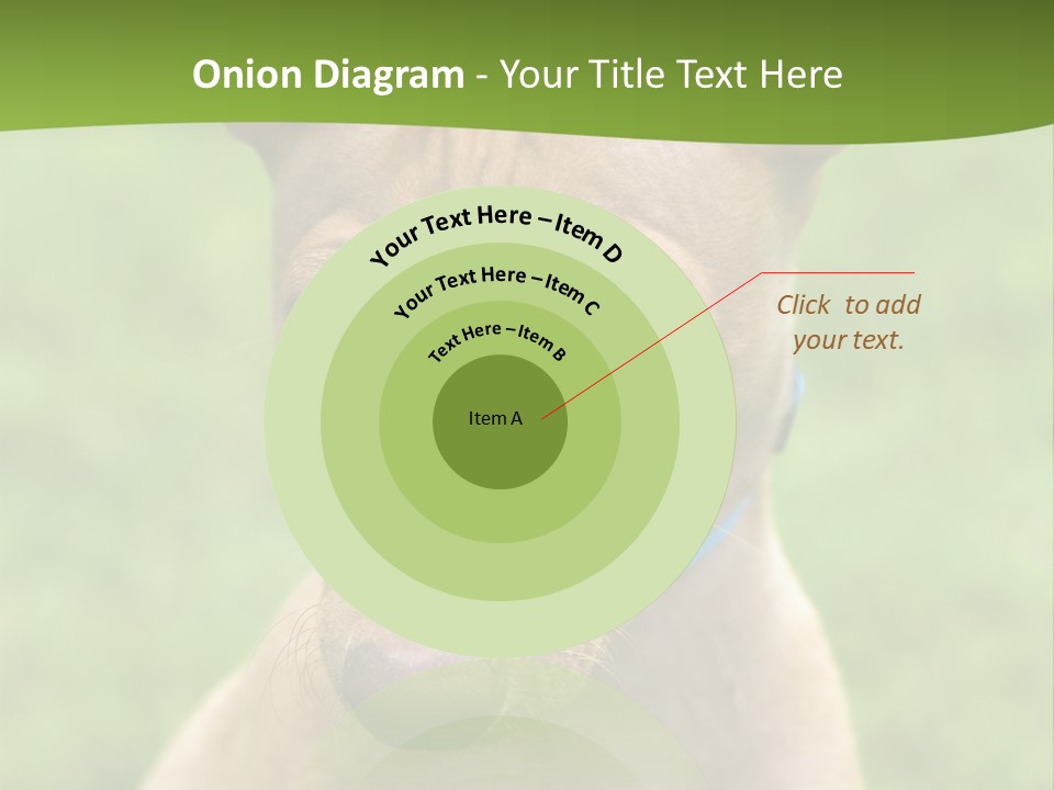 Cirneco Dell'etna, Sicilian Hound Puppy PowerPoint Template