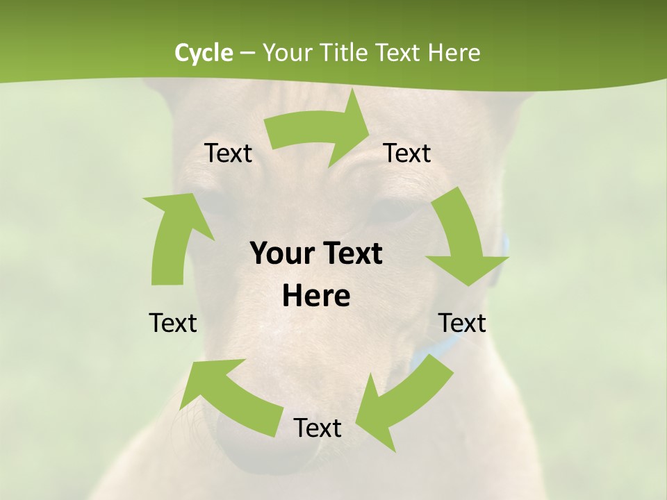 Cirneco Dell'etna, Sicilian Hound Puppy PowerPoint Template