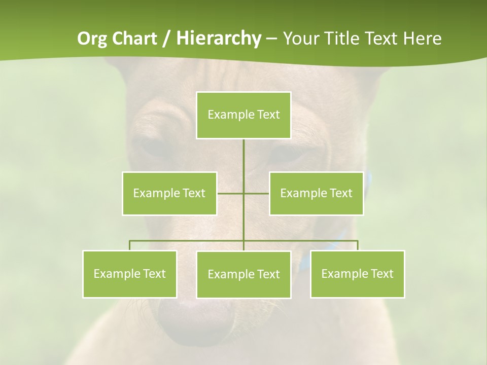 Cirneco Dell'etna, Sicilian Hound Puppy PowerPoint Template