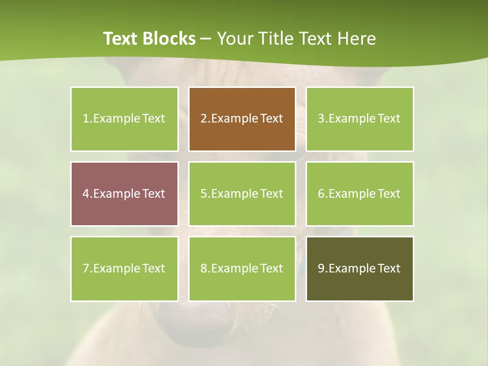 Cirneco Dell'etna, Sicilian Hound Puppy PowerPoint Template