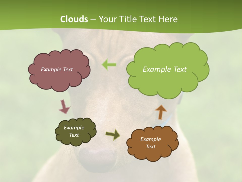 Cirneco Dell'etna, Sicilian Hound Puppy PowerPoint Template