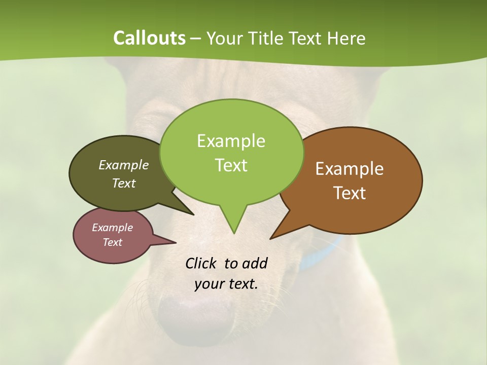 Cirneco Dell'etna, Sicilian Hound Puppy PowerPoint Template