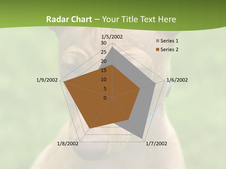 Cirneco Dell'etna, Sicilian Hound Puppy PowerPoint Template