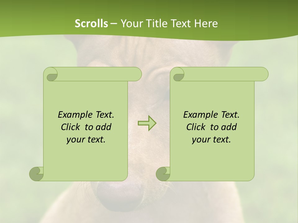 Cirneco Dell'etna, Sicilian Hound Puppy PowerPoint Template