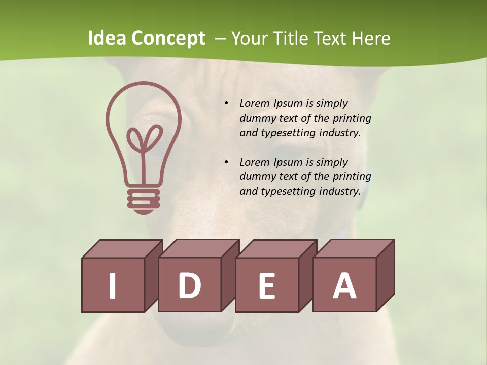 Cirneco Dell'etna, Sicilian Hound Puppy PowerPoint Template