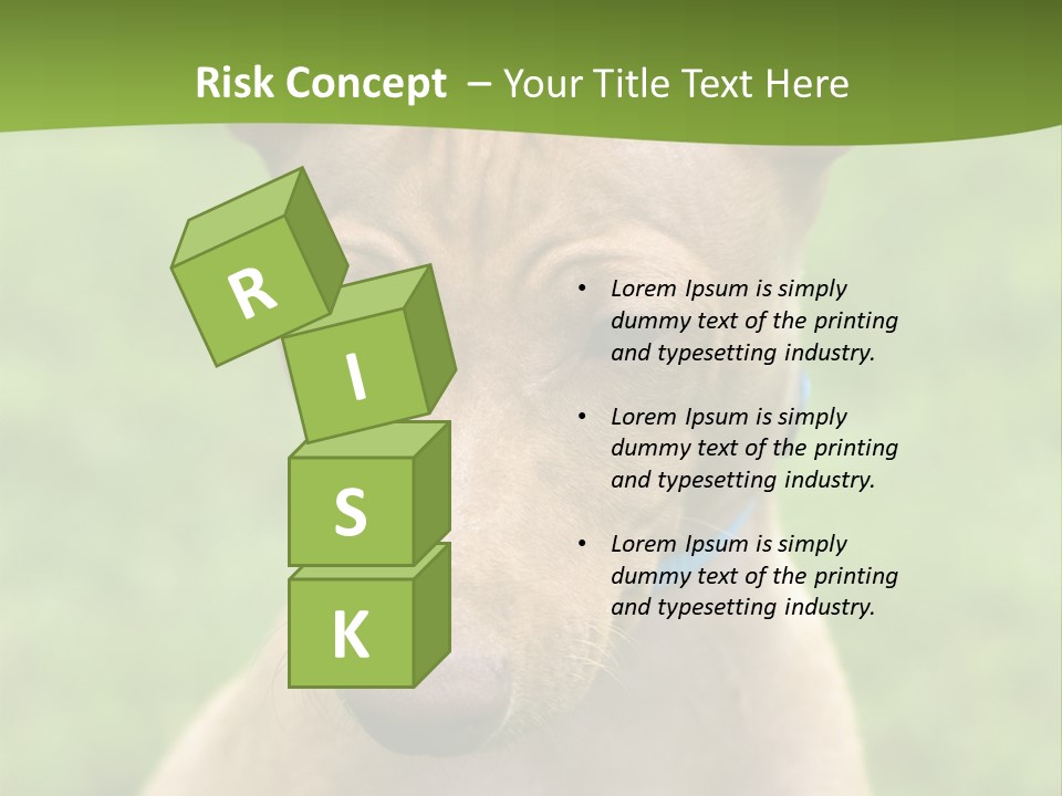 Cirneco Dell'etna, Sicilian Hound Puppy PowerPoint Template