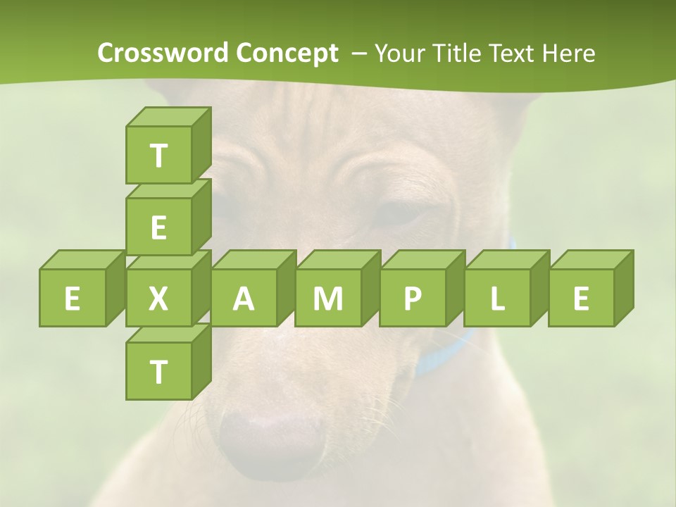 Cirneco Dell'etna, Sicilian Hound Puppy PowerPoint Template