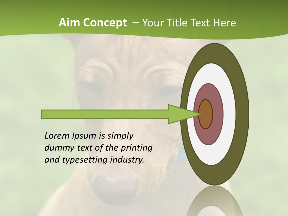 Cirneco Dell'etna, Sicilian Hound Puppy PowerPoint Template