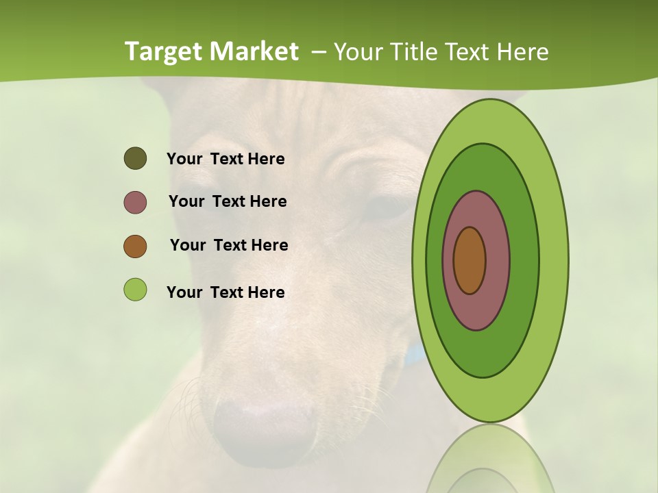 Cirneco Dell'etna, Sicilian Hound Puppy PowerPoint Template