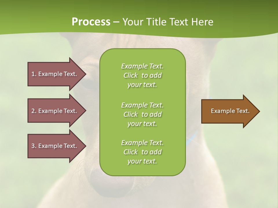 Cirneco Dell'etna, Sicilian Hound Puppy PowerPoint Template
