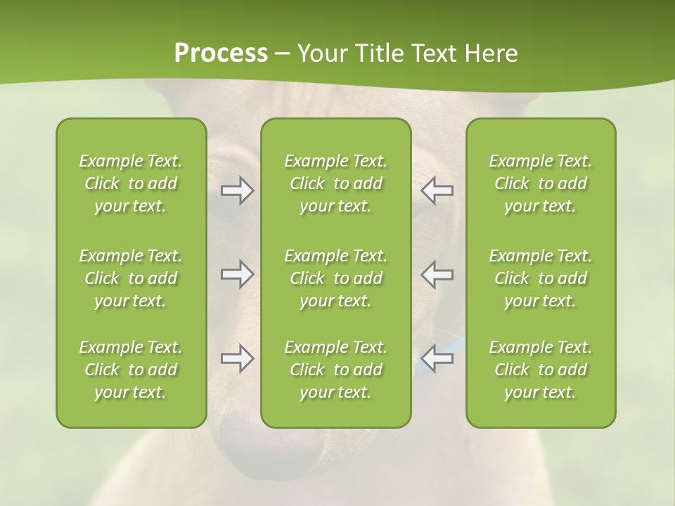 Cirneco Dell'etna, Sicilian Hound Puppy PowerPoint Template